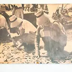 España 3*