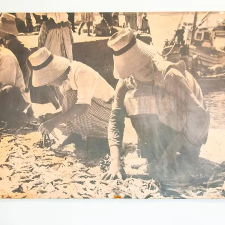 España 3*